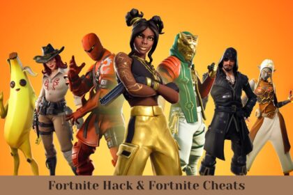 Fortnite hack, Fortnite cheats